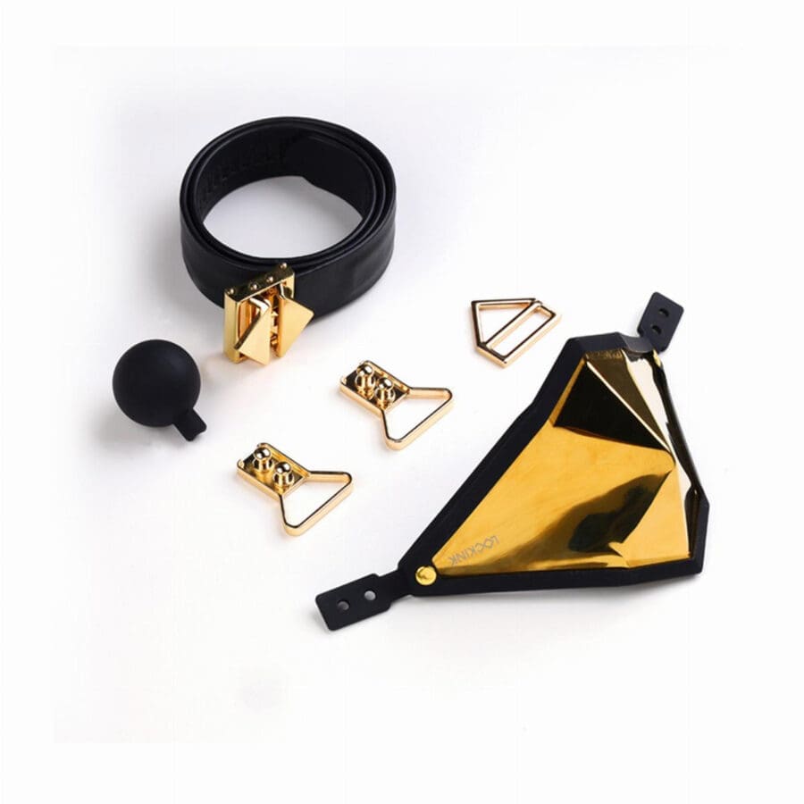 Lockink Punker Muzzle Ballgag Goud 5