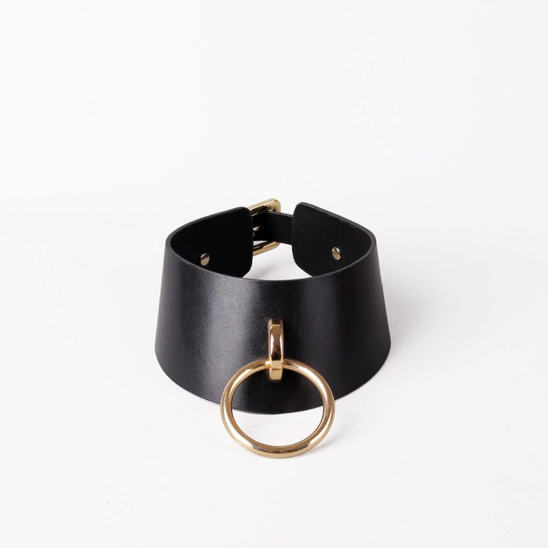 Maia Collar and Leash (3)