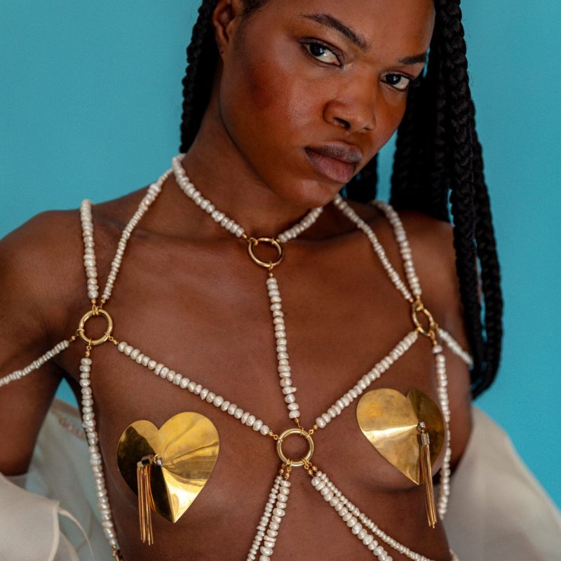 Elif Domanic Heart Shaped Messing Pasties